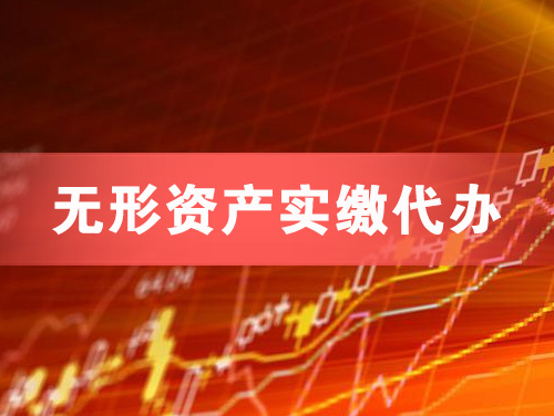 大同无形资产实缴资本代办