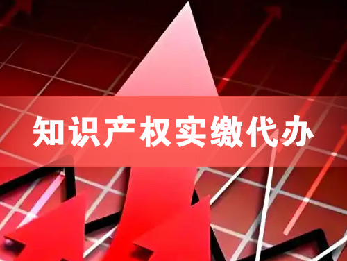 大同知识产权实缴资本代办